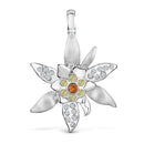 Clip Edelweiss R