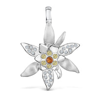 Clip Edelweiss R