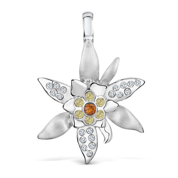 Clip Edelweiss R