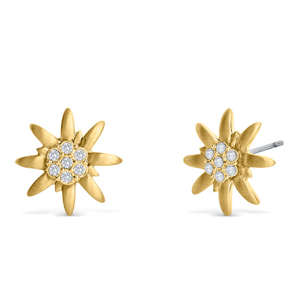Ohrstecker Edelweiss mini G