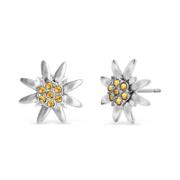 Ohrstecker Edelweiss mini R