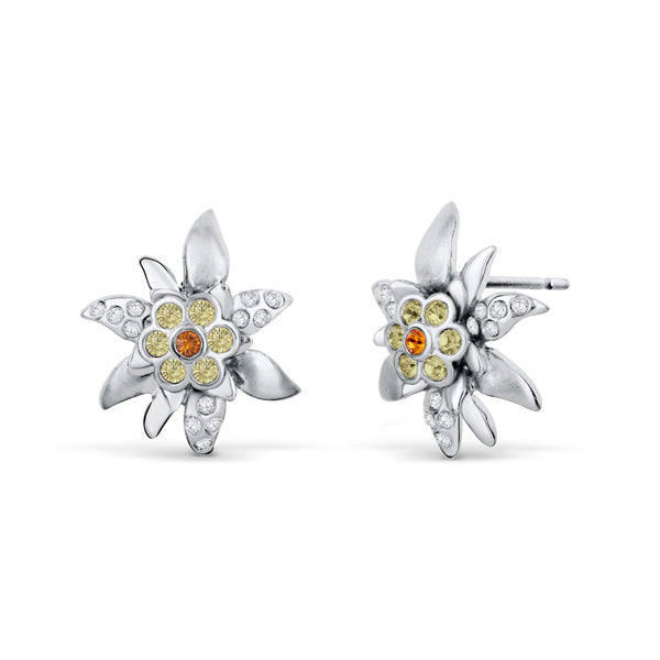 Ohrstecker Edelweiss R