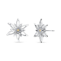 Ohrstecker Simon Edelweiss