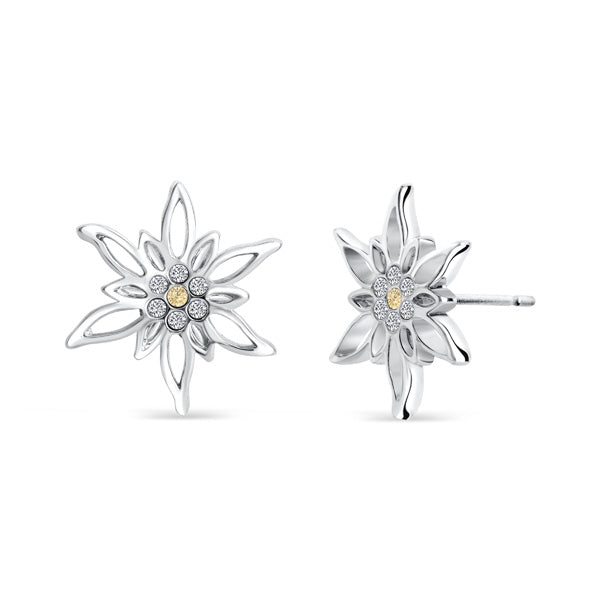 Ohrstecker Simon Edelweiss
